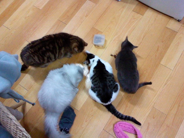 p100217_000.jpg