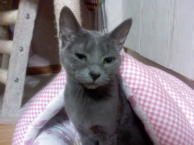 p100429_000.jpg