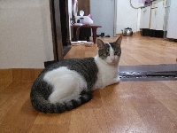 애기.jpg
