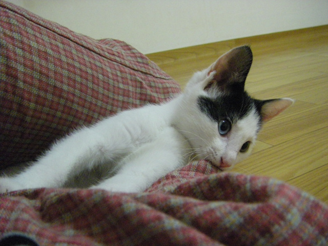 IMGP1528.jpg