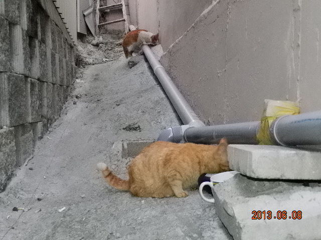 사진 116.jpg
