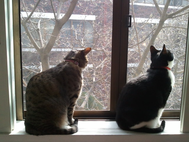 2012-03-17 14.40.36.jpg