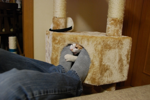 DSC_2505.JPG