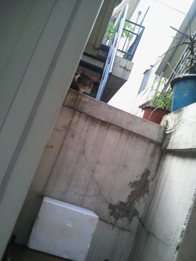 d 001.jpg