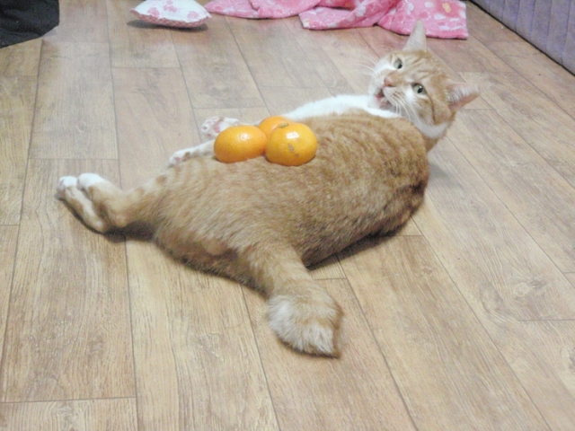 5.jpg