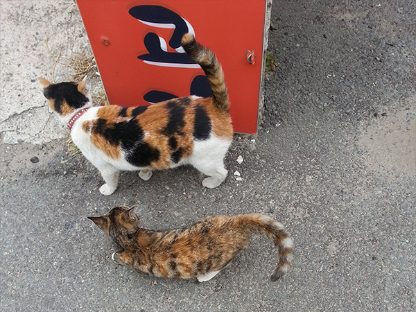 20131022_121628 사본.jpg