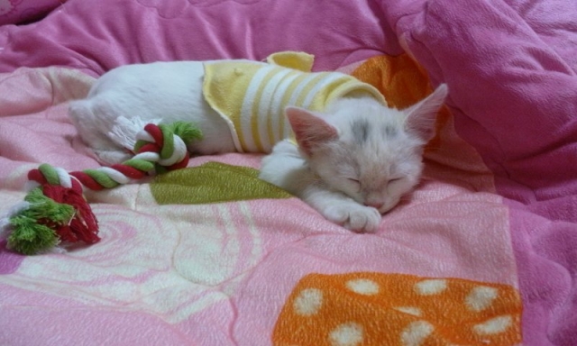 2011-11-16_01.27.08.jpg