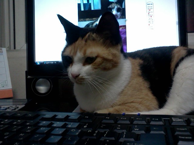 사진111008_003.jpg