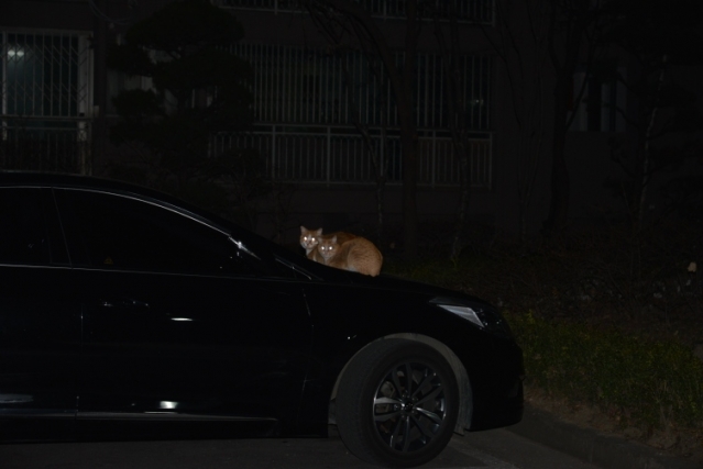 DSC_0622-2.jpg
