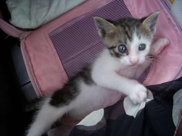 DSCN2281.JPG