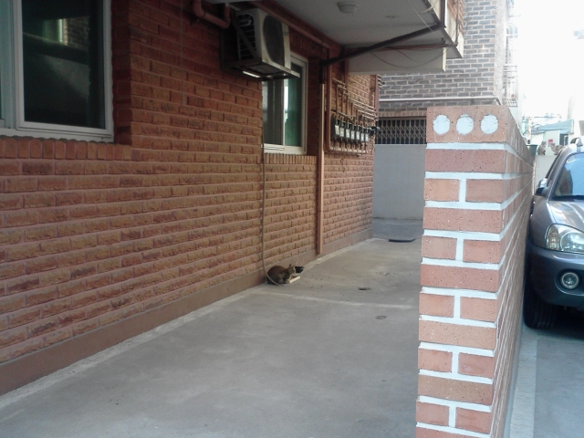 사진120105_003.jpg