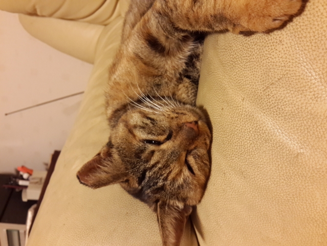 크기변환_20131024_200420.jpg