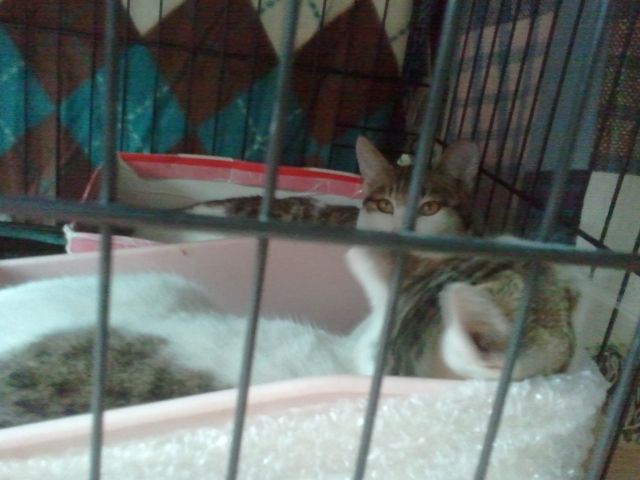 2011-12-28 12.04.50.jpg