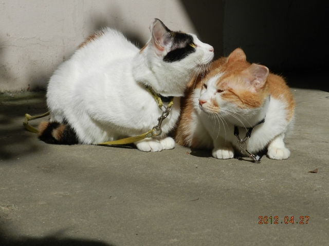 사진 4110.jpg