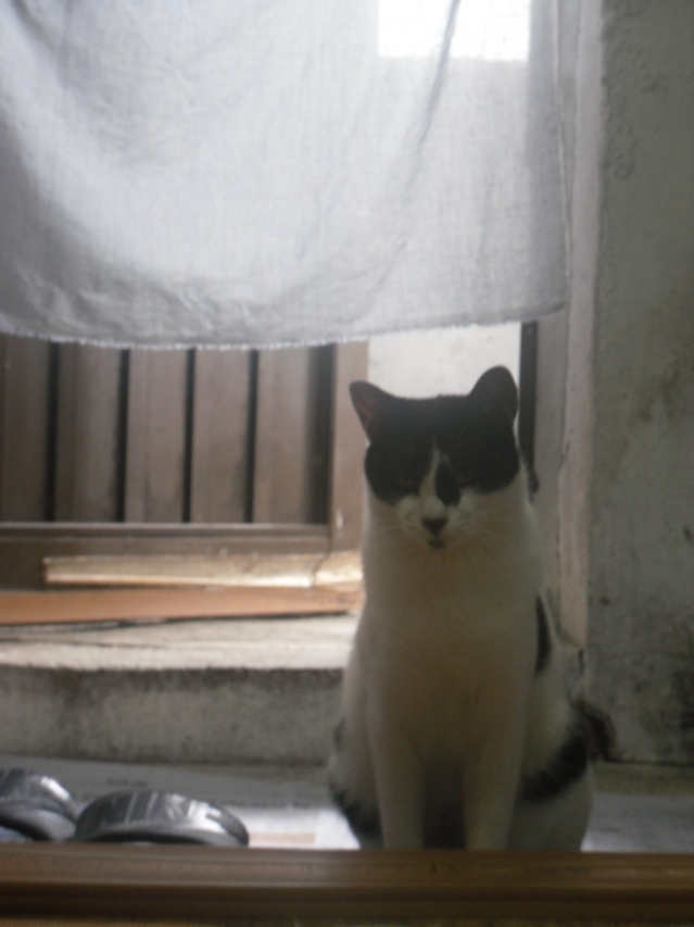 SDC10901.JPG