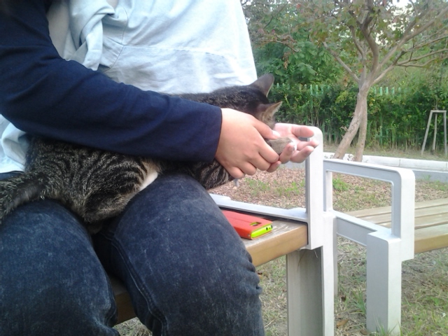 20121010_174736.jpg