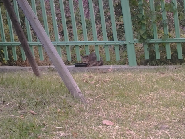 20121010_173717.jpg