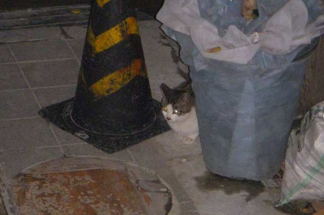 DSCN1907.JPG