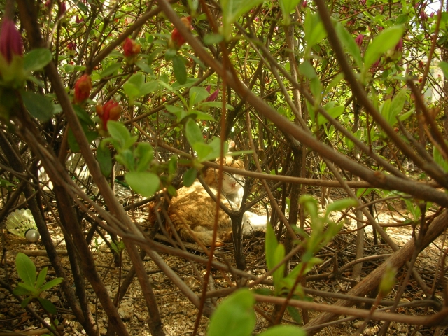 DSCN0489.JPG