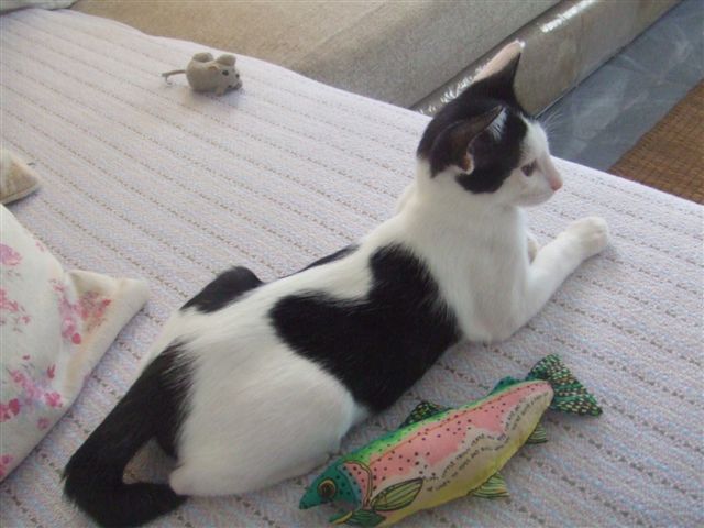 DSCF3061.JPG