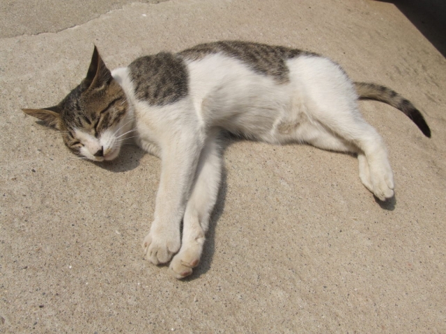 DSCF5314.jpg