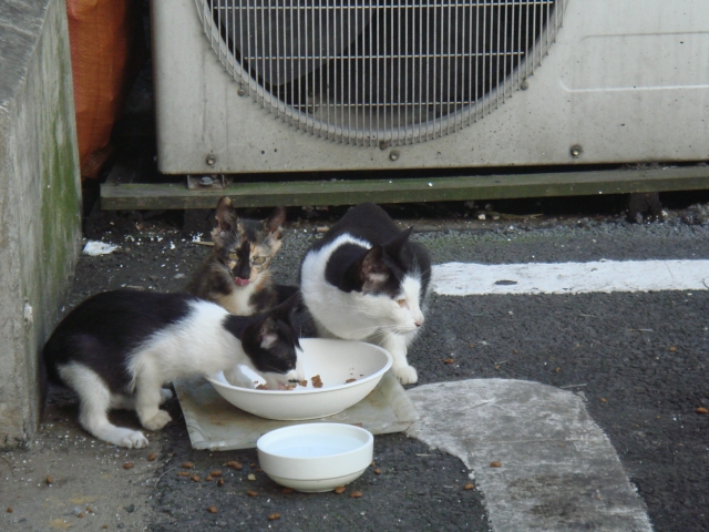DSC06073.JPG
