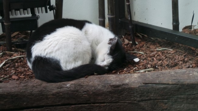 20131114_141337.jpg