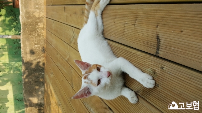 20150814_154647.jpg