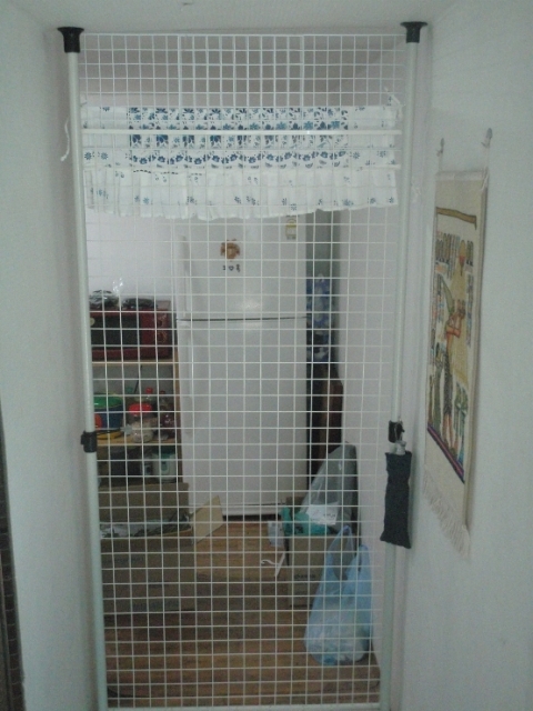p1010319_inselein.jpg