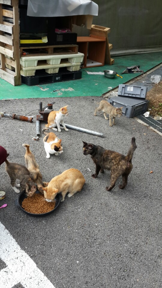 KakaoTalk_20141201_131827557.jpg