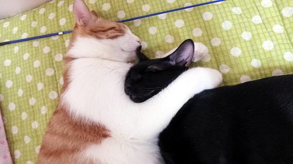 20120620_223215.jpg
