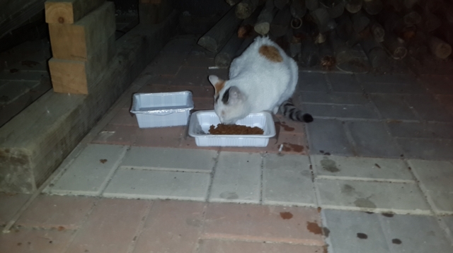 크기변환_20131024_213016.jpg