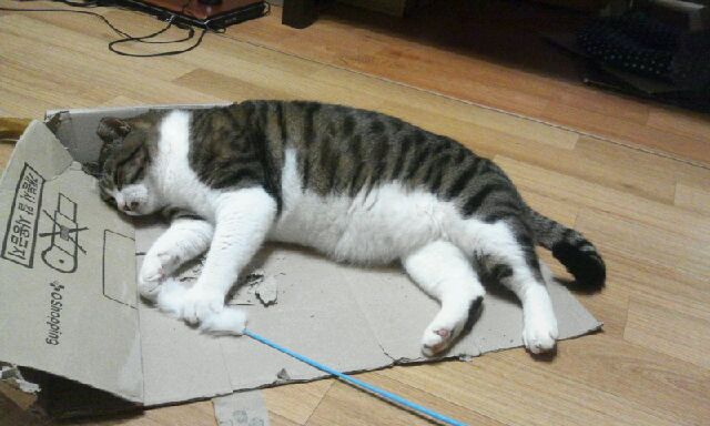 2012-06-08 00.18.13_0.jpeg
