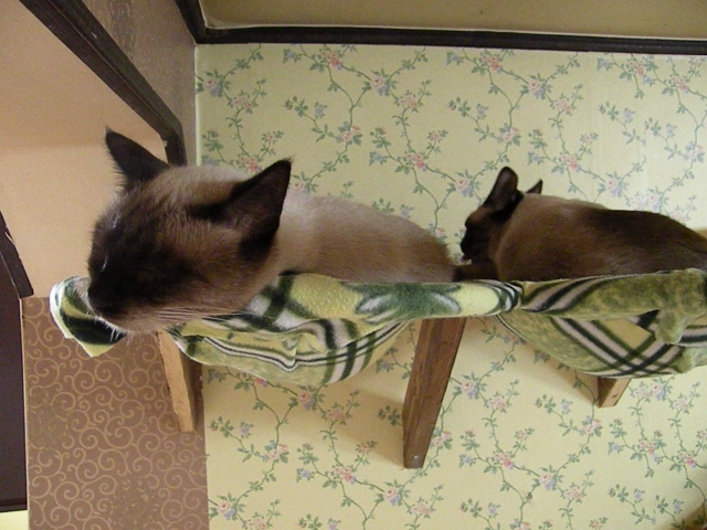 DSCN3997.jpg