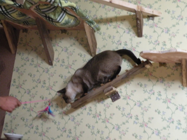 DSCN4006.jpg