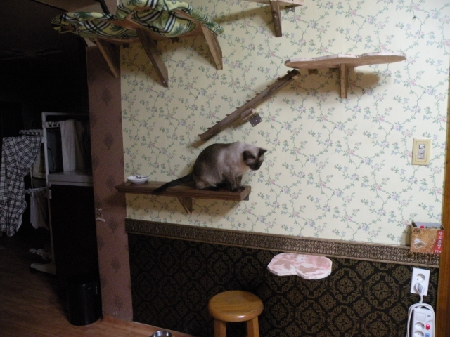 DSCN4007.jpg