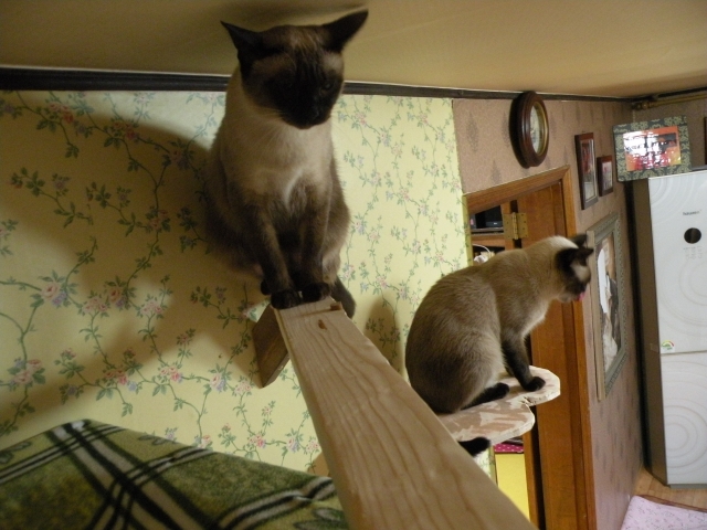 DSCN4016.jpg