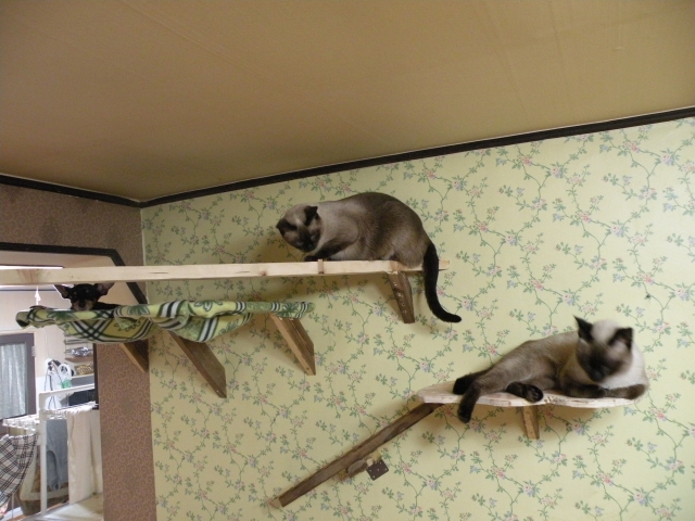 DSCN4020.jpg