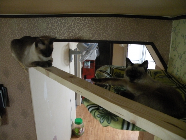 DSCN4025.jpg