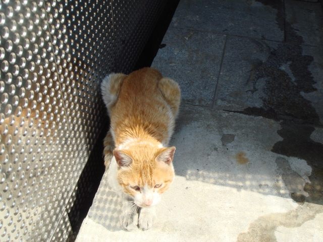 DSC05834.JPG