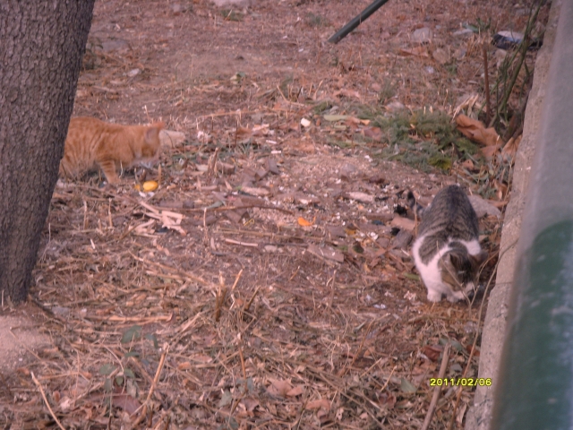 S73R1079.JPG