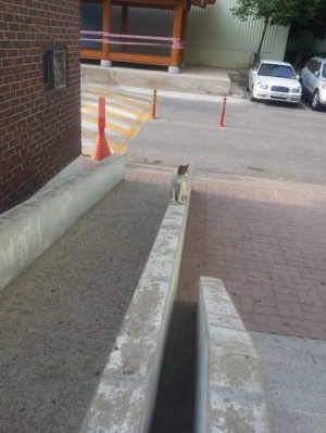 20120623_072751.jpg