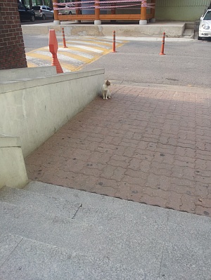 20120623_072719.jpg