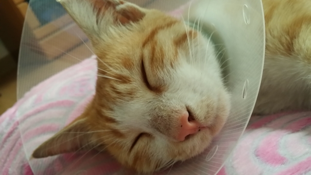 20131116_112726.jpg