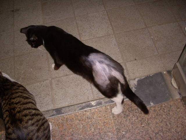 DSCN2454.JPG