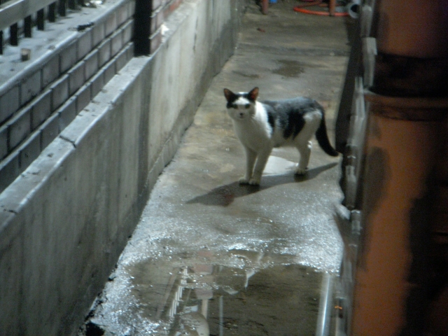 DSCN2480.JPG