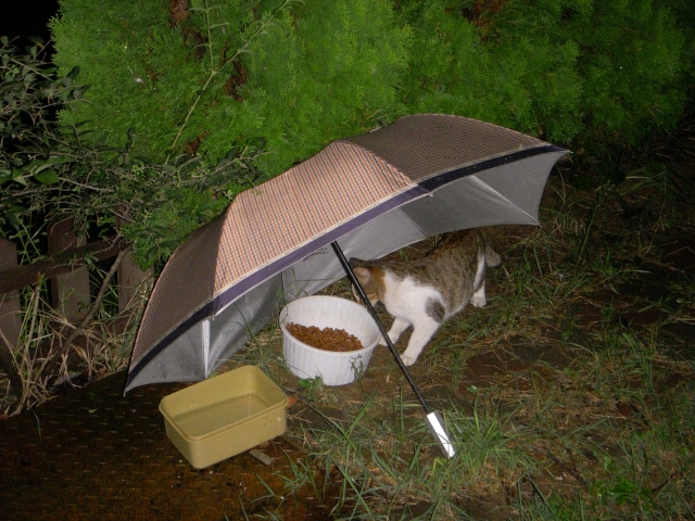 DSCN2505.JPG