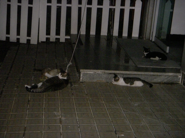 DSCN2528.JPG