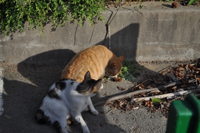 DSC_0293.JPG