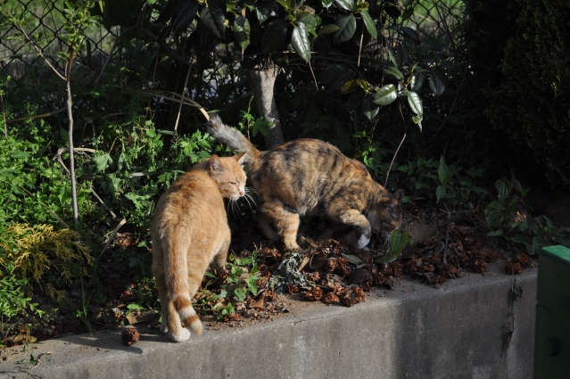 DSC_0295.JPG
